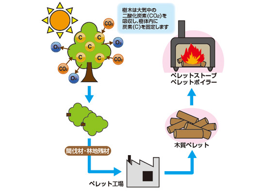 温室効果ガス排出量を取得